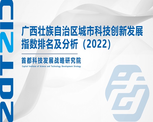 啊..操我..啊插..啊..视频【成果发布】广西壮族自治区城市科技创新发展指数排名及分析（2022）